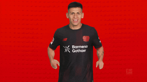Bayer Leverkusen GIF by Bundesliga