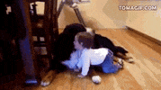 espera GIF