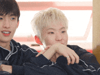 Dk 세븐틴 GIF
