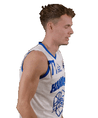 Basketball Center Sticker by Landstede Hammers