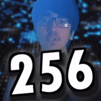 256