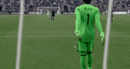 GIF by Philadelphia Union