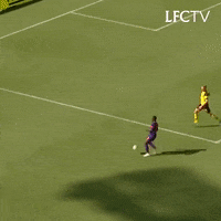 premier league football GIF by Liverpool FC