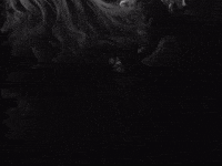 Musicvideo Go GIF by WHATMORE