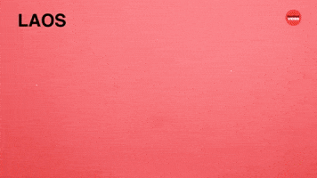 Asian School Lunches