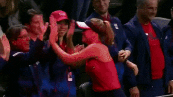 fedcup celebration win team usa GIF
