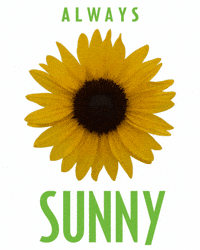 Always Sunny Flower GIF by Ball Horticultural Co
