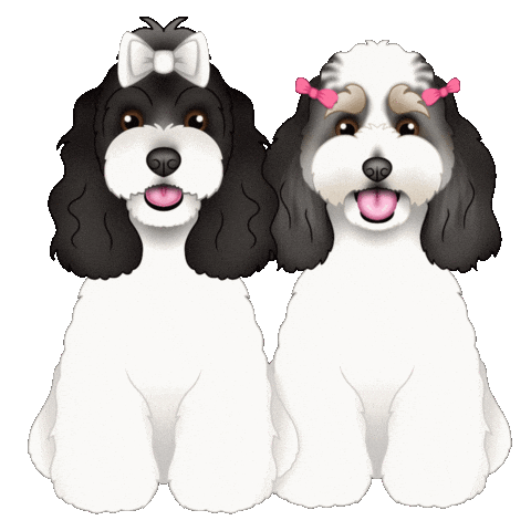 Little Rosie And Lily Cavoodle Sticker by zoopeez