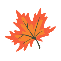 Fall Autumn Sticker by Sophiekunterbunt