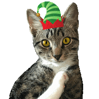 Christmas Smells Good Sticker