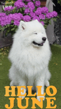 Summer June GIF