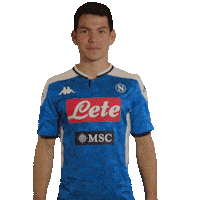 Serie A Football Sticker by SSC NAPOLI