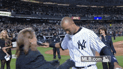 nyy GIF by MLB