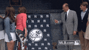 nyy GIF by MLB