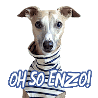 Dog Puppy Sticker by Macattack