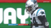 Carolina Panthers Football GIF by NFL
