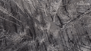 GIF by The Guardian