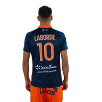 Laborde Sticker by MHSC