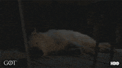 Prepare Season 7 GIF by Game of Thrones