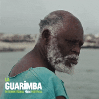 Excuse Me Reaction GIF by La Guarimba Film Festival