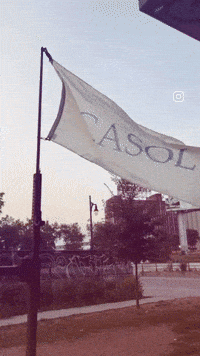 Winning Martial Arts GIF by Casol