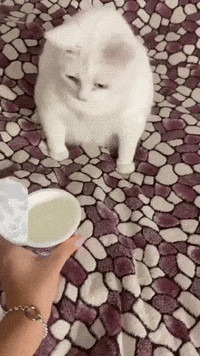 Gag Ronny GIF