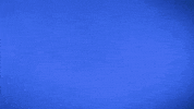 Mls Chu GIF by Seattle Sounders