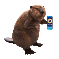 SolarPowerMx beaver solar power castor solarpower Sticker