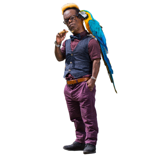 instagram parrot Sticker by vinuts