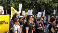 London Protesters March in 'Solidarity With Hong Kong'