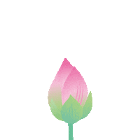 Saturday Morning Flower Sticker