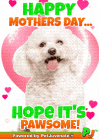 Mothers Day Taylor GIF by PetJuvenate - PJ