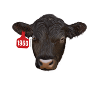 Cow Sticker by Atwoods Ranch & Home Goods