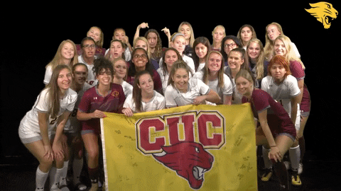 D3Soc Cuc19 GIF by CUCougars