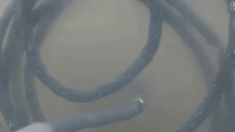 janvigohel giphygifmaker GIF