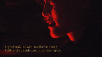 New Year Zodiac GIF by BuzzFeed