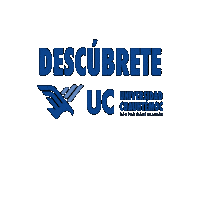 UCGDL ucg Sticker
