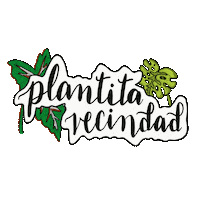Vecindad Plantita Sticker