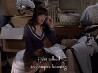 season 6 netflix GIF by Gilmore Girls 