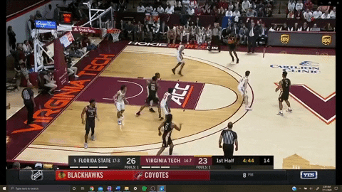 avntexansports giphygifmaker GIF