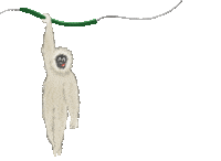 Chill Chilling Sticker by Gulf Breeze Zoo