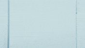 Check This Out Walk In GIF by Clix