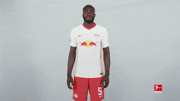 Happy Rb Leipzig GIF by Bundesliga