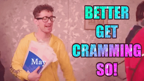 Sean Flanagan Party GIF by FoilArmsandHog