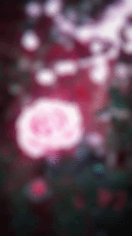 virtual reality GIF