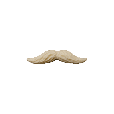 Moustache Sticker by vadilal ice creams