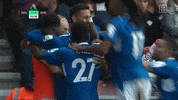 Premier League Football GIF by DAZN