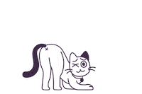 4EveryPet cat illustration pet oops Sticker