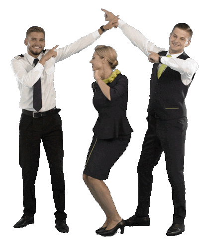 cabin crew dancing Sticker by airBaltic