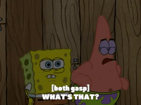 season 7 the curse of bikini bottom GIF by SpongeBob SquarePants